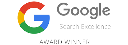 Google Search Excellence Award