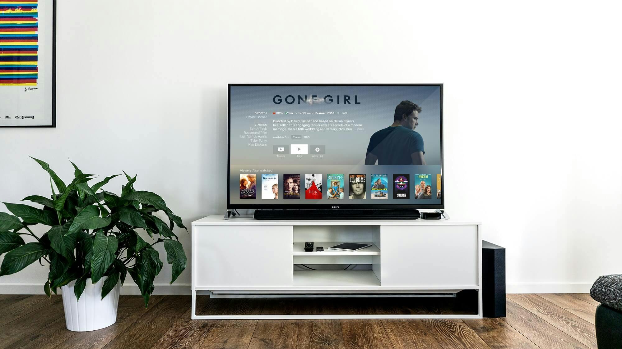 Defining the Terms in Digital TV