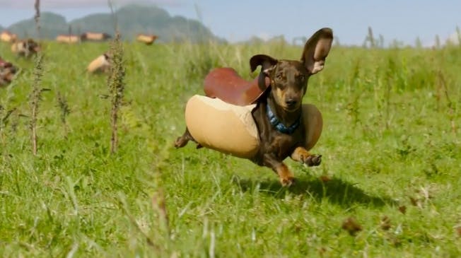 HEIHEINZ Ketchup Game Day 2016 Hot Dog Commercial | &quot;Wiener Stampede&quot;NZ Ketchup Game Day 2016 Hot Dog Commercial | &quot;Wiener Stampede&quot;